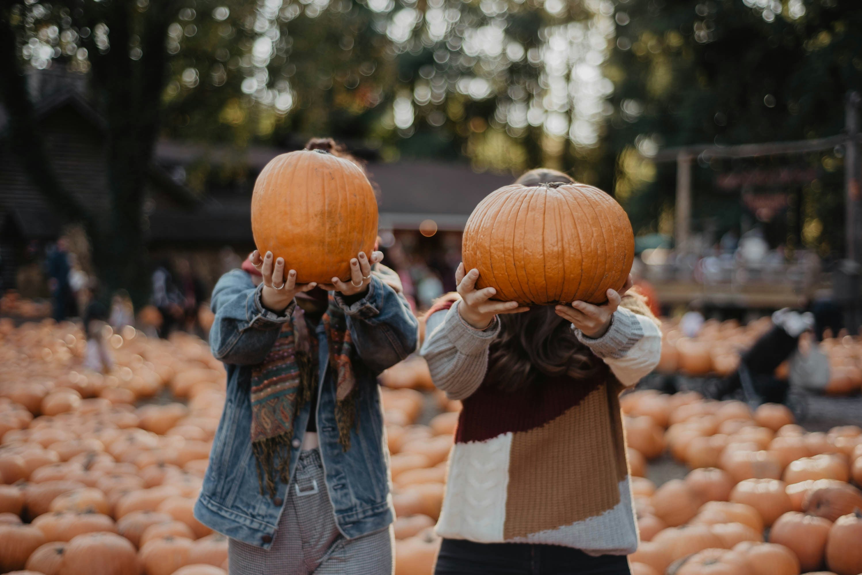 Let's Have the Best Fall Ever